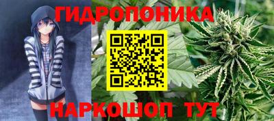 индика Краснодар
