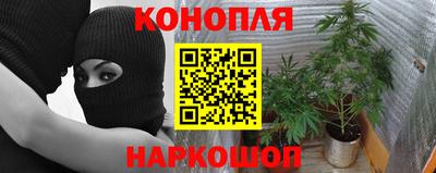 индика Краснодар