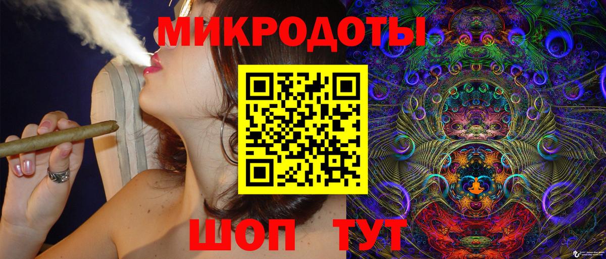 Псилоцибиновые грибы Psilocybine cubensis Кемерово