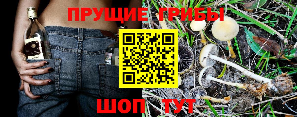 Кемерово  Псилоцибиновые грибы мухоморы  Вход с VPN  Галлюциногенные грибы GOLDEN TEACHER 